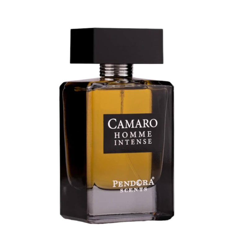 Paris Corner Pendora Scents Camaro Homme Intense EDP 100ml