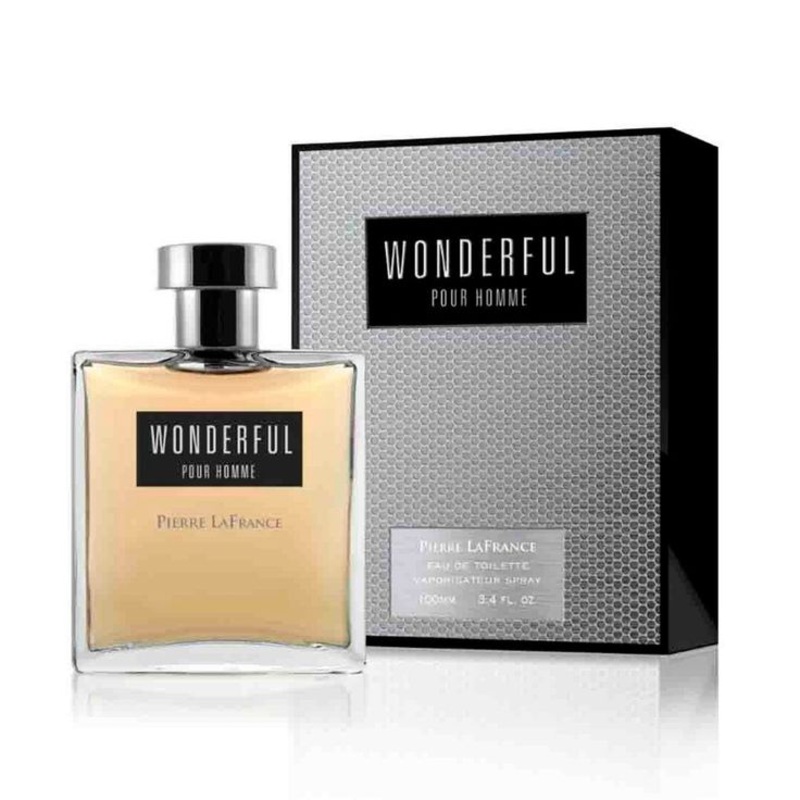 Pierre LaFrance Wonderful Pour Homme 100ML EDT Spray (M)