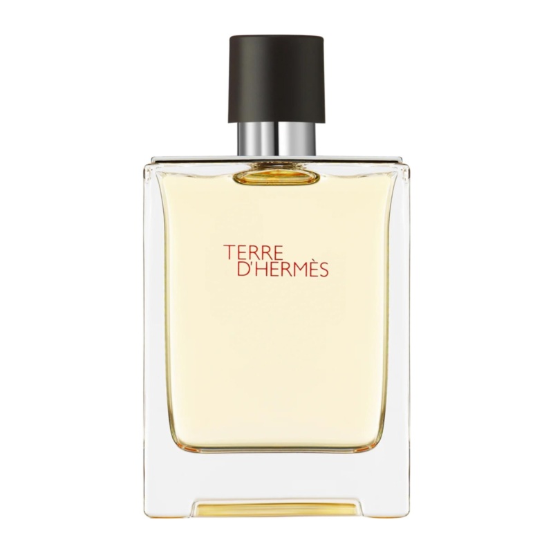 Terre dHerms Eau de Toilette for Men 100ml